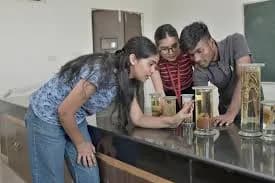 DAV College Jalandhar lab