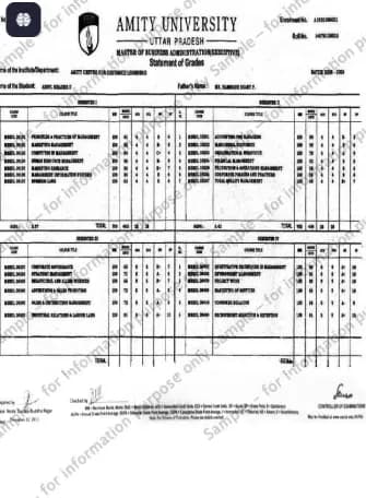 Amity University Mohali  Degree Certificate